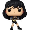 Wonder Woman 391 Wonder Woman The Contest Funko Pop