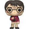 Harry Potter 132 Harry Potter Funko Pop